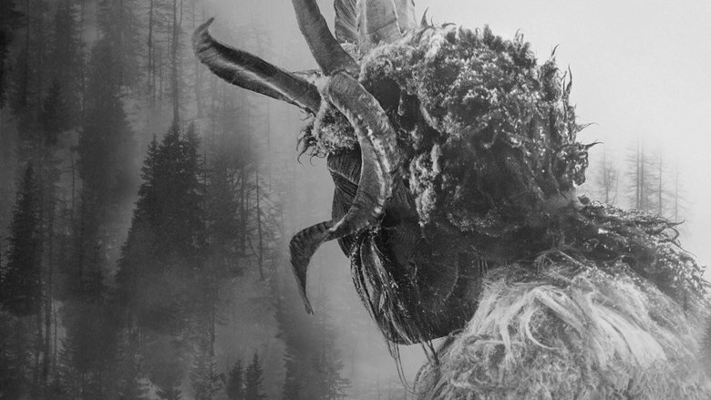 Gallery image from zTzmyYSyNWuwRJVrGVTG6f6waHj.jpg