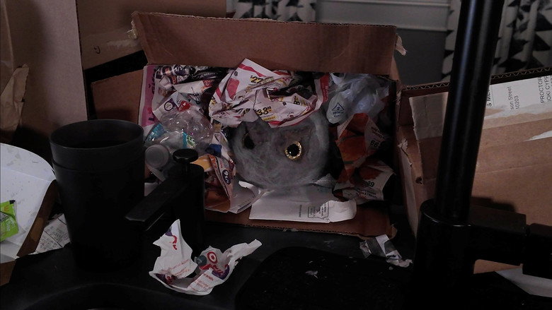 Frame from Dust Bunnies