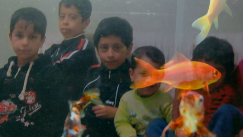 Медиа изображение