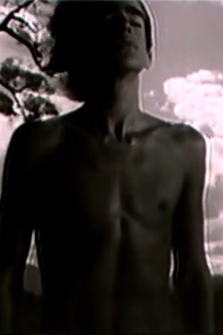 Imatge de Da Fabulação