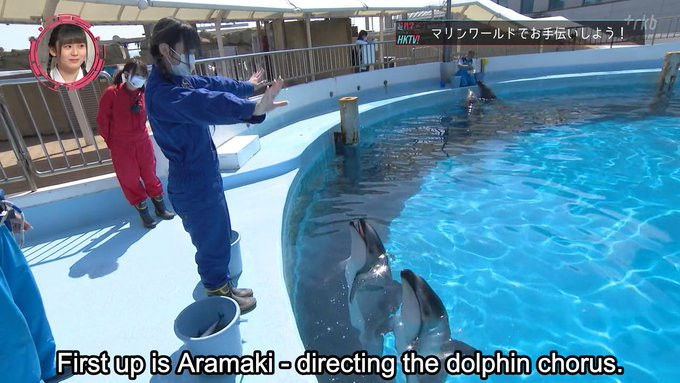 Still image for Chou Kagaku Idol Media HKTV! season 1 episode 32: Episode 32 Still image for Chou Kagaku Idol Media HKTV! season 1 episode 32: Episode 32