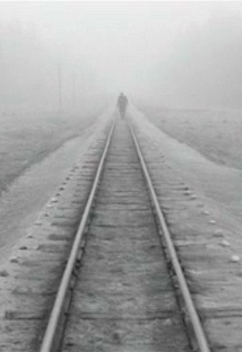 Imatge de Kelionė ūkų lankomis