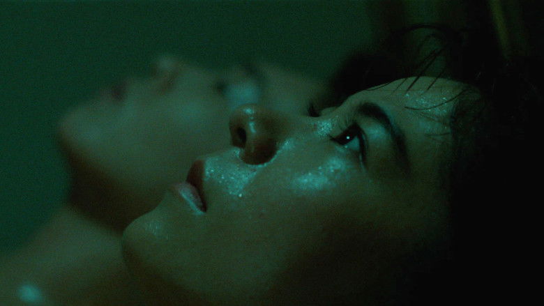 Image d'arrière-plan 5 du film Turtle Vision