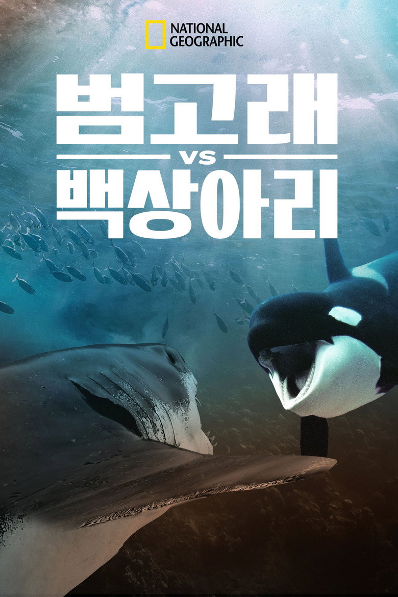 범고래 vs 백상아리(Orca Vs. Great White) poster