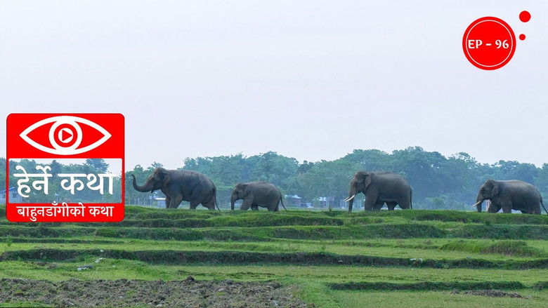 Still image for Herne Katha season 1 episode 96: Bahundangi ko Katha