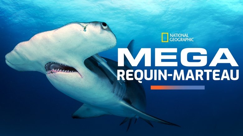 Mega Hammerhead (2016)