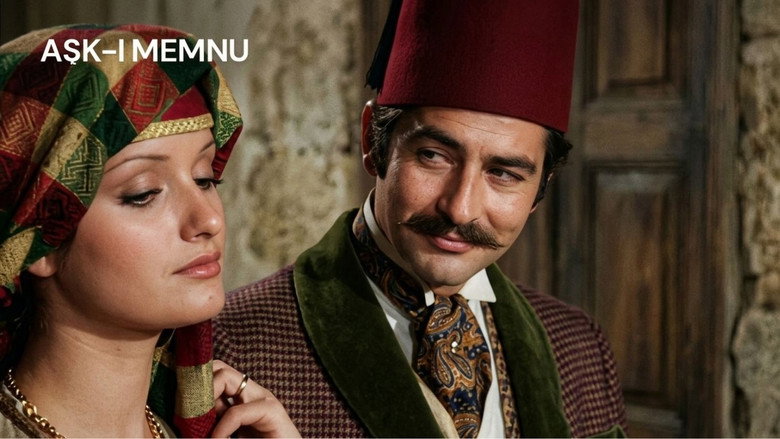 The Forbidden Love image 5