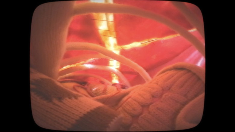 Imatge de I Dissected a Body and All I Found Was Yarn