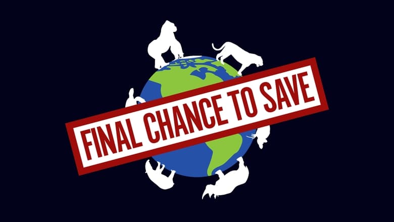 Final Chance to Save