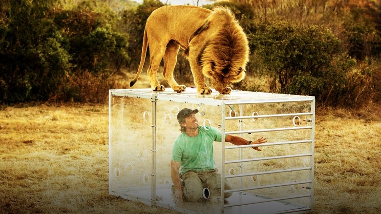 Man V. Lion