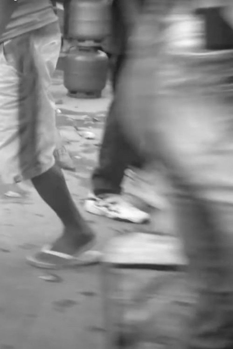 Imatge de Mulheres em Movimento