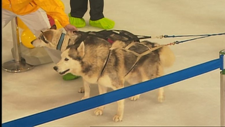 Still image for Infinite Challenge season 1 episode 20: Drag the Sled Challenge Still image for Infinite Challenge season 1 episode 20: Drag the Sled Challenge