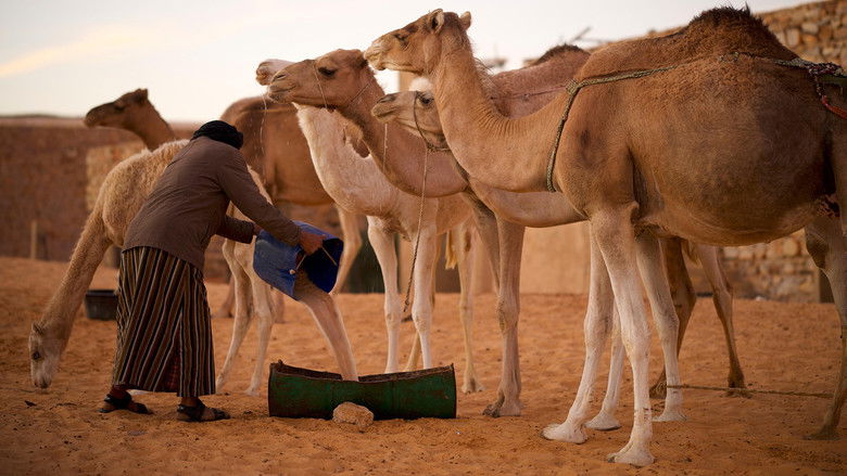 Still image for Sacred Planet with Gulnaz Khan season 1 episode 2: Stopping the Desert Still image for Sacred Planet with Gulnaz Khan season 1 episode 2: Stopping the Desert
