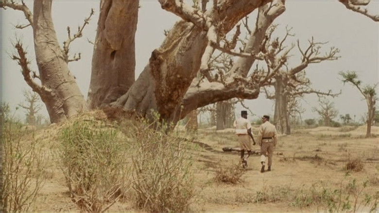 Imatge de Camp de Thiaroye