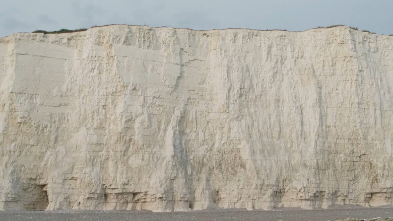 Frame from The Suicide