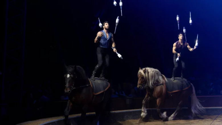 Gallery image from zaYcB6gwAa7vaPcHZ8faTVBA9dz.jpg