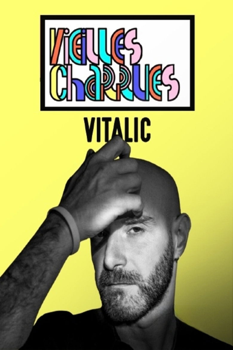 Imatge de Vitalic - Concert aux Vieilles Charrues