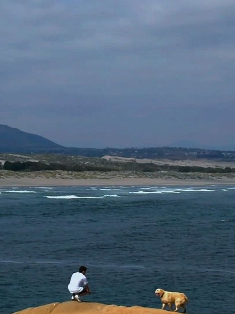 Imatge de En tu Búsqueda