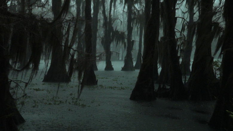 Gallery image from zbFl7OlfAxQ9Vdn4D8LwgyKTjum.jpg