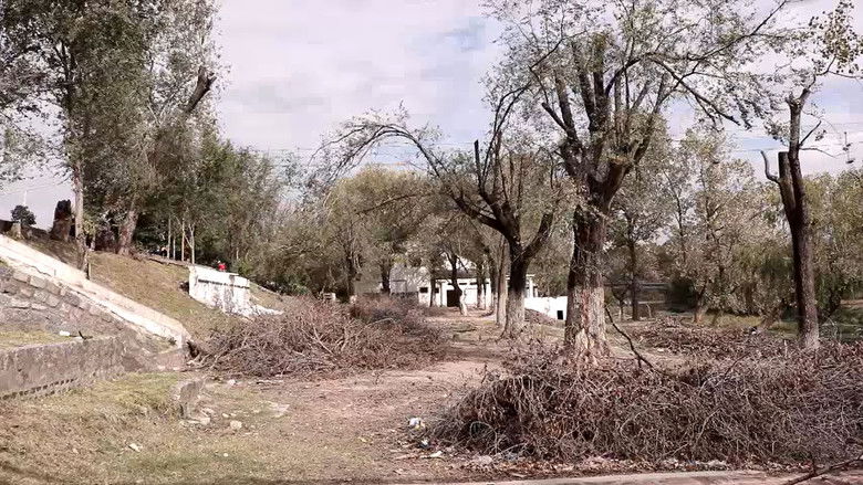 Gallery image from zbbN4Xe8kFtjglrCe5zTRYCx8lN.jpg