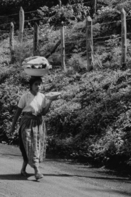 My Country Occupied (Newsreel #151) (1971)