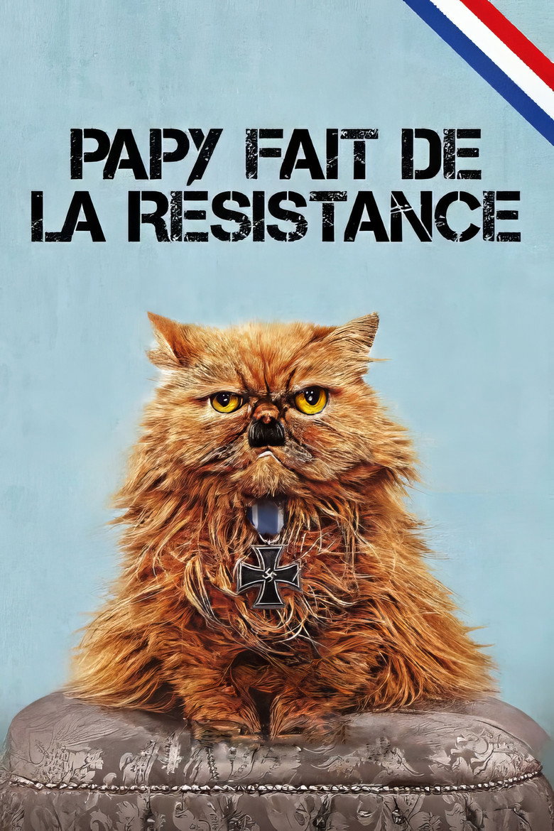 Affiche de PAPY FAIT DE LA RÉSISTANCE