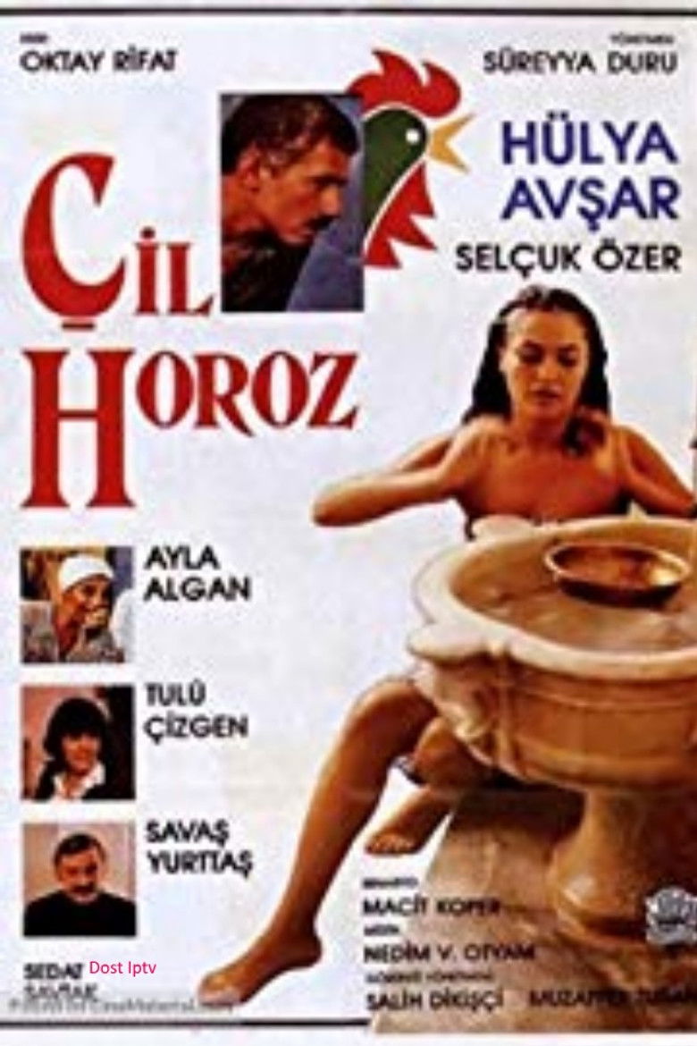 Imatge de Çil Horoz