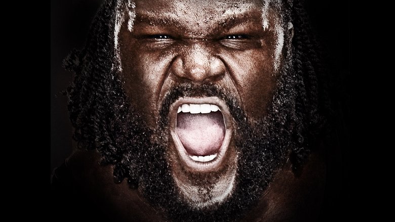 WWE Vengeance 2011 backdrop
