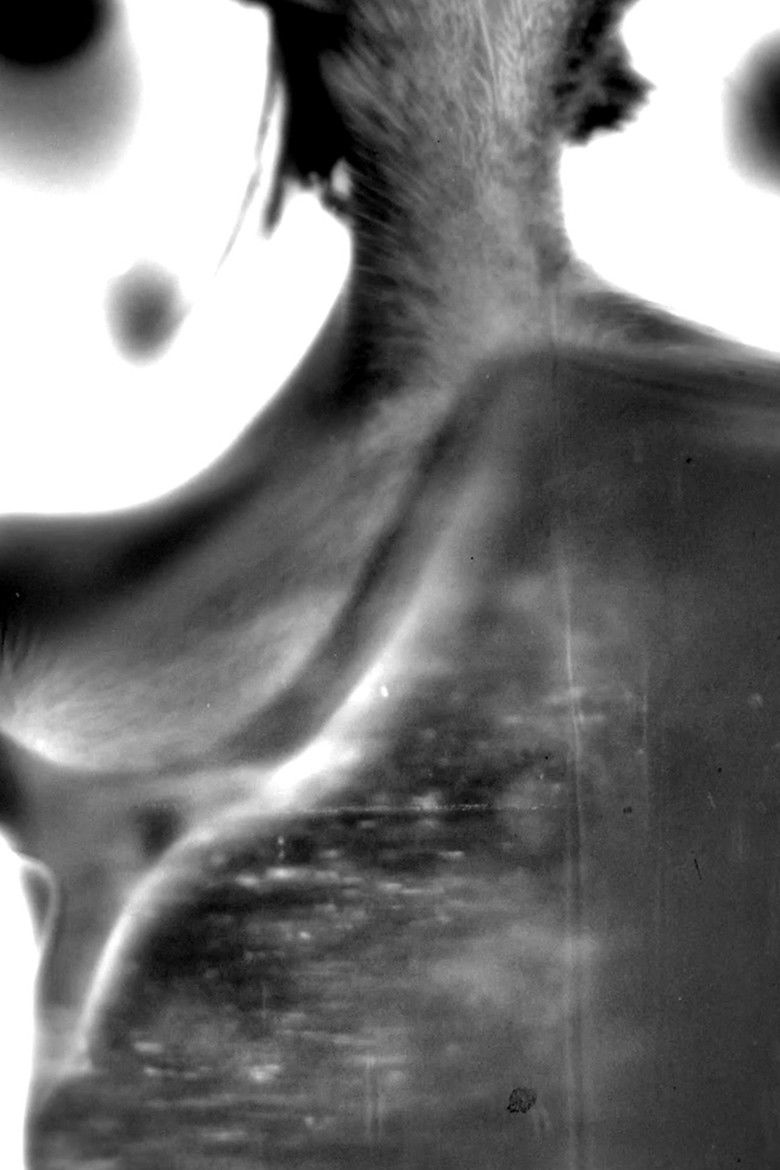 Imatge de Analysis Paralysis