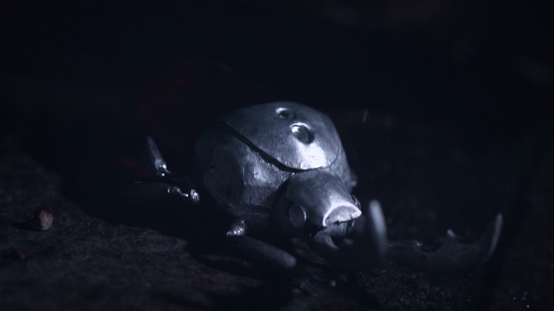 Gallery image from zdfFuFDpfM1ssCrbYGXuJxO3HMV.jpg