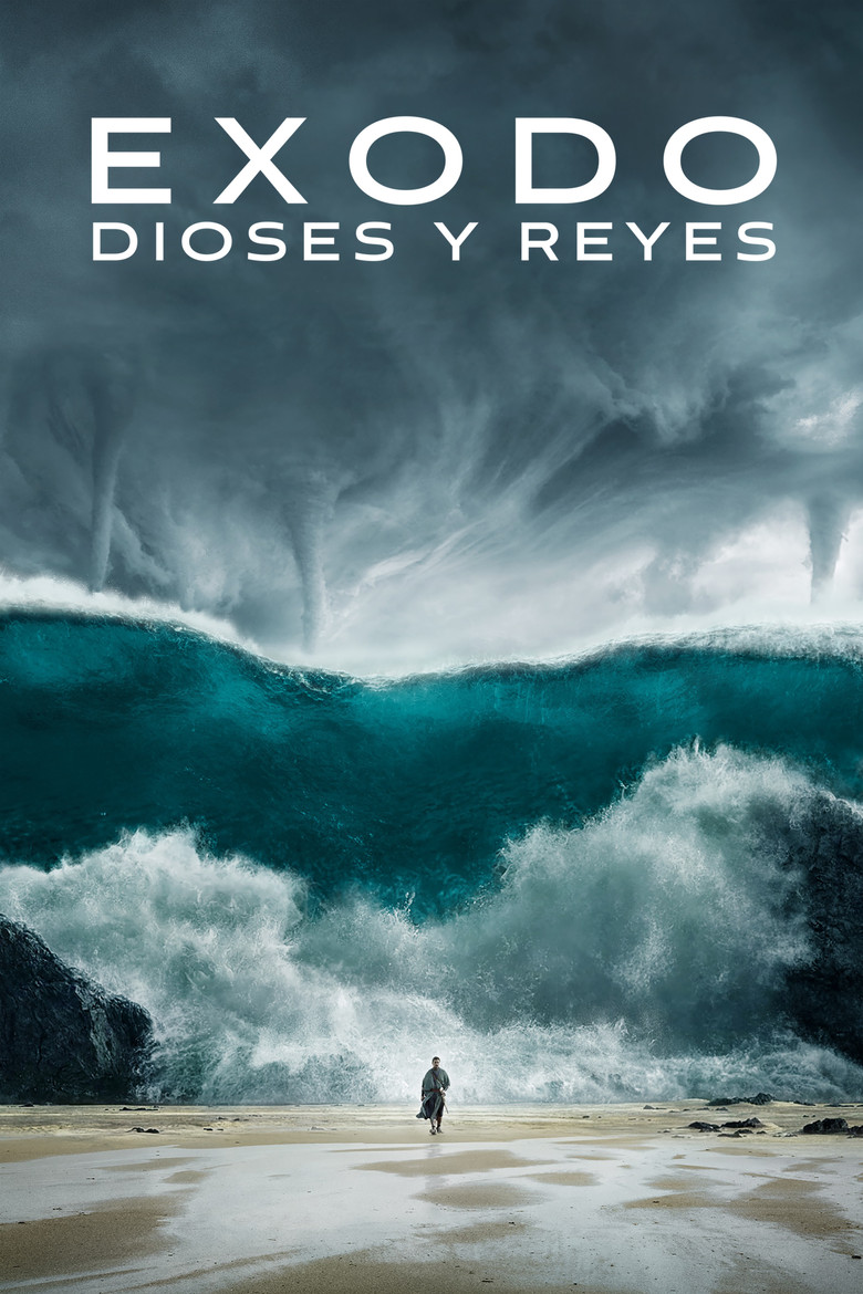 Póster la Película