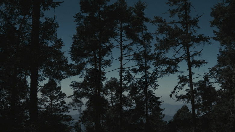 Image d'arrière-plan 11 du film Para atrapar el viento