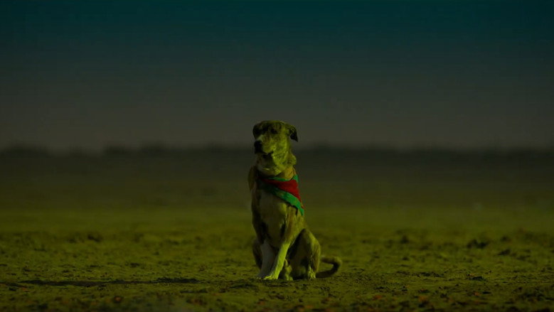 Ohh My Dog 2