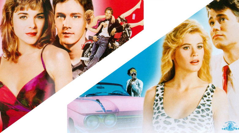 Backdrop de Mannequin Collection