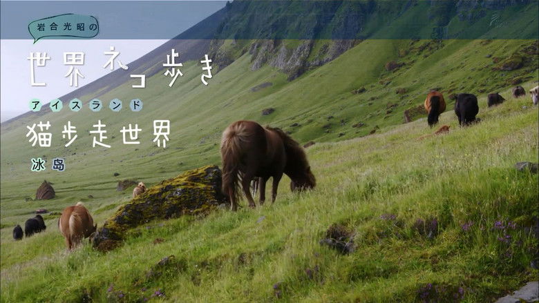 Still image for Mitsuaki Iwago's World “Cats” Travelogue season 1 episode 65: Iceland Still image for Mitsuaki Iwago's World “Cats” Travelogue season 1 episode 65: Iceland