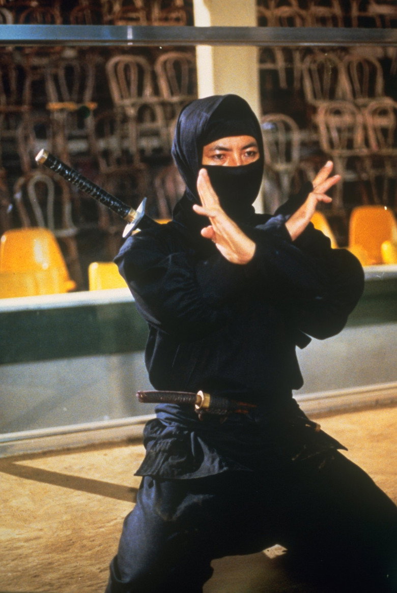 Imatge de Enter the Ninja