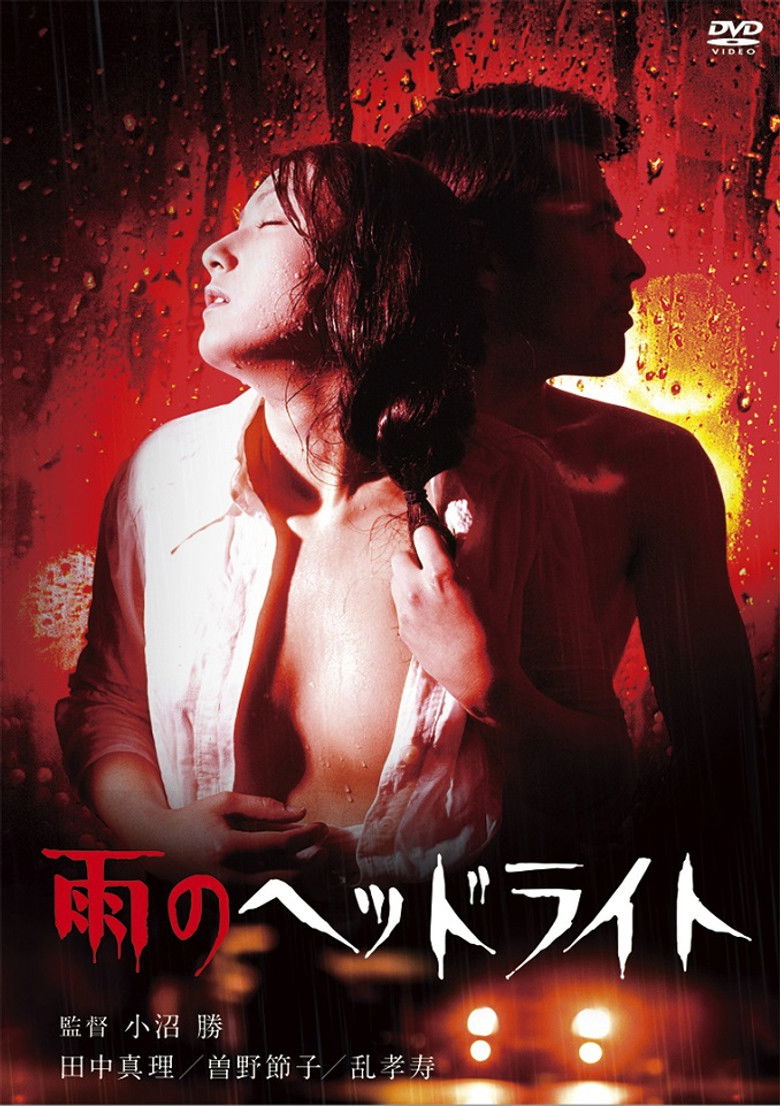 Imatge de 雨のヘッドライト