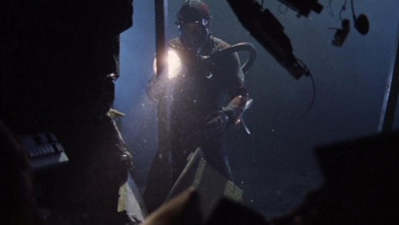 Imatge de Caçador de taurons