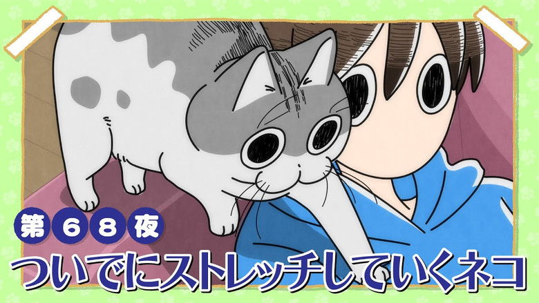 Still image for Nights with a Cat season 1 episode 68: Night 68: A Cat Who Takes Time to Stretch