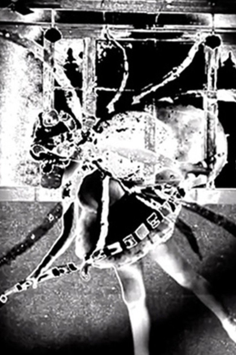Nine Inch Nails: Came Back Haunted