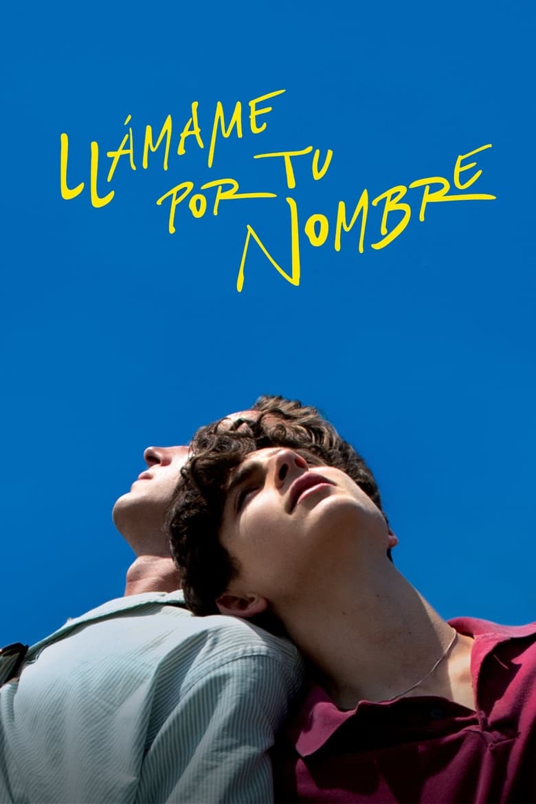 Póster la Película
