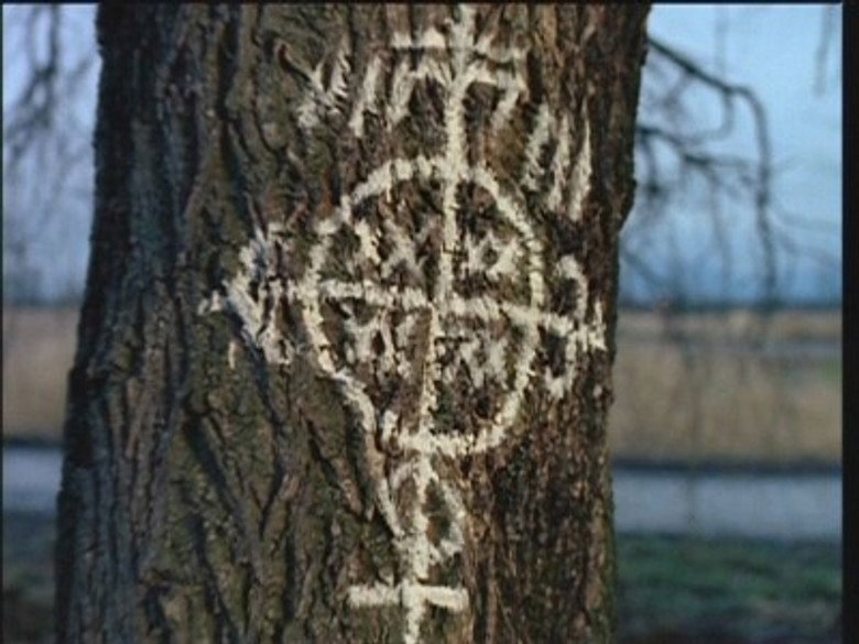 The X-Files S02E15 — Fresh Bones episode still