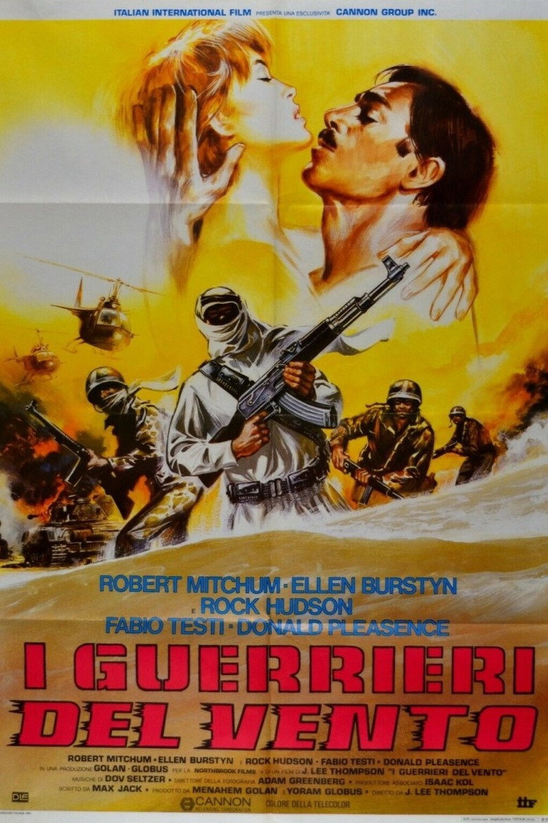 Copertina di I guerrieri del vento