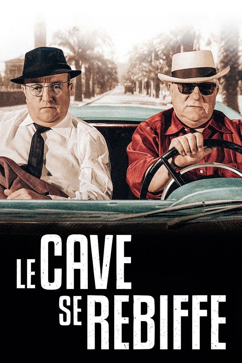 Affiche de LE CAVE SE REBIFFE