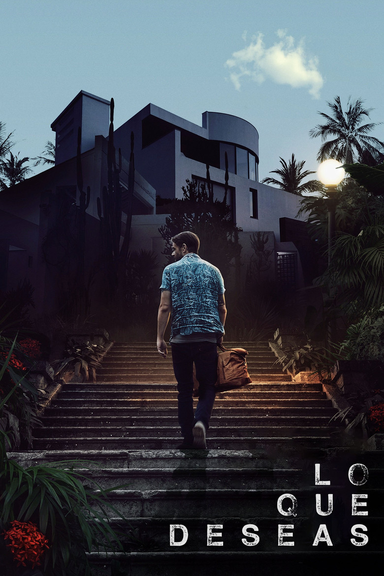 Póster la Película