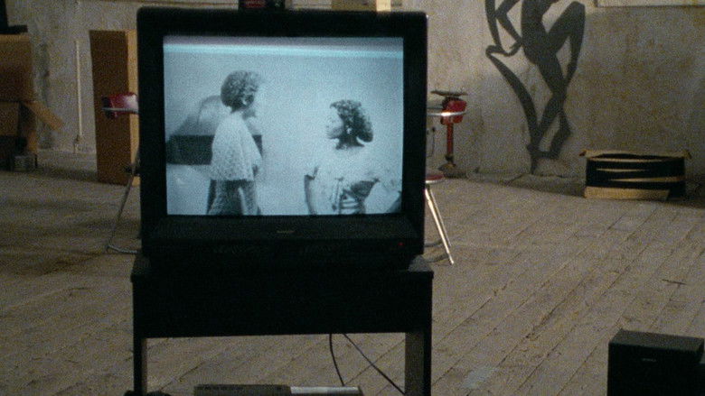 Image d'arrière-plan 8 du film The watermelon woman