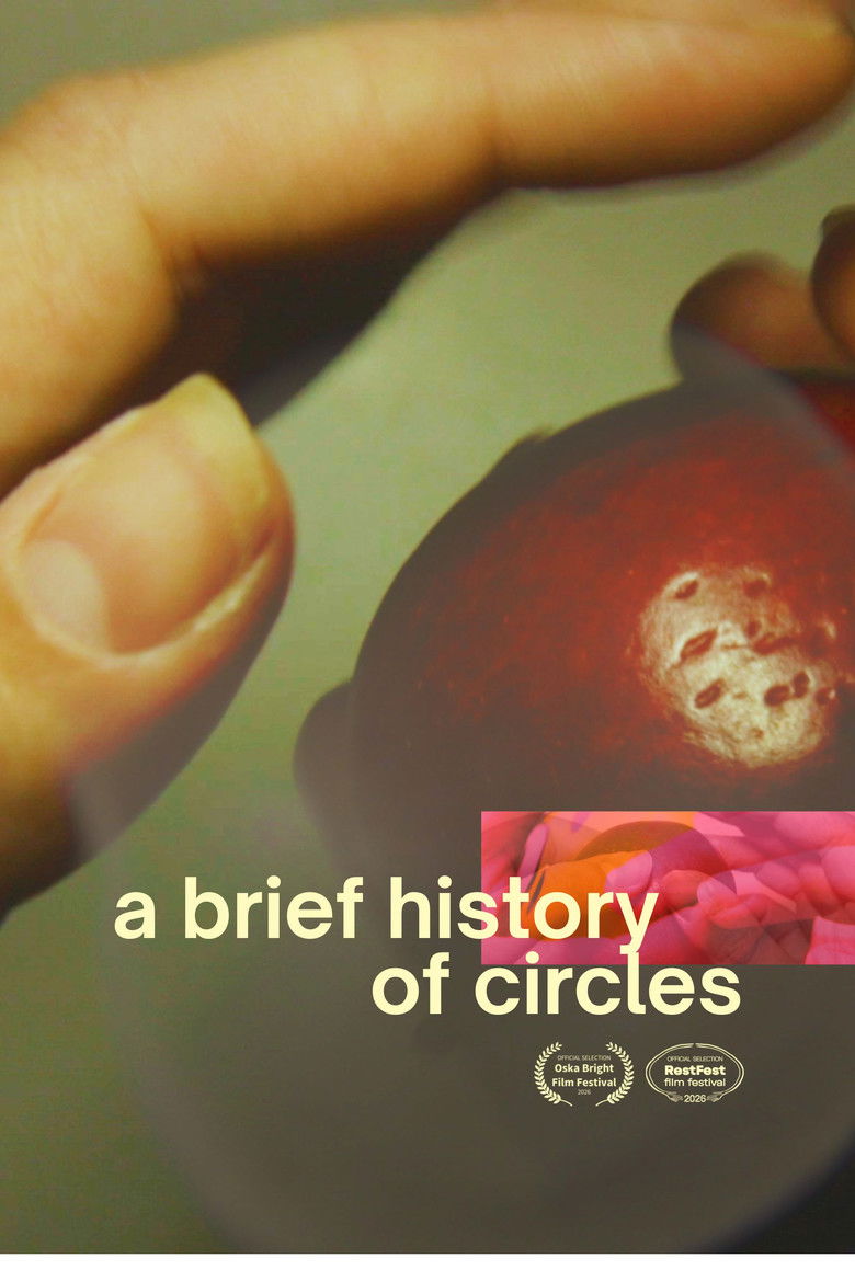 Imatge de A Brief History of Circles