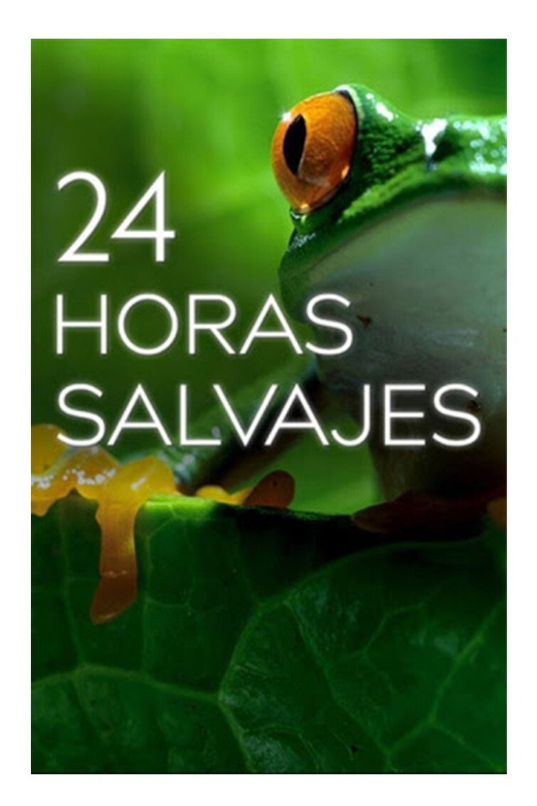 24 horas salvajes