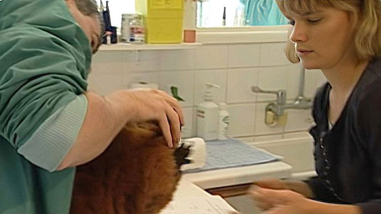 Still image for Monkey Business season 1 episode 6: Episode 6 Still image for Monkey Business season 1 episode 6: Episode 6