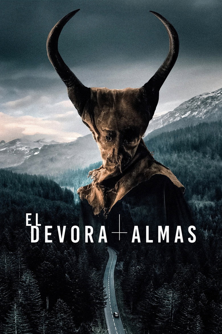 Póster la Película